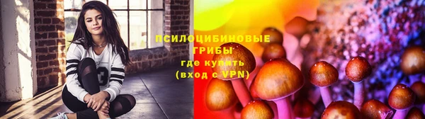 ешки Навашино