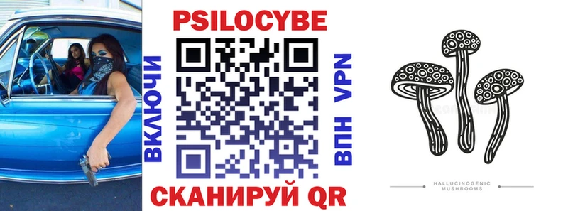 Псилоцибиновые грибы Psilocybe  наркота  Спас-Деменск 